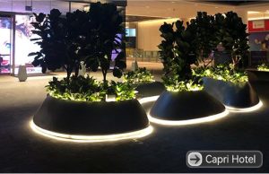 planter lighting