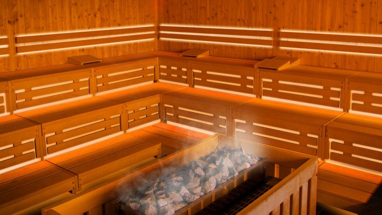 traditional sauna led lighting