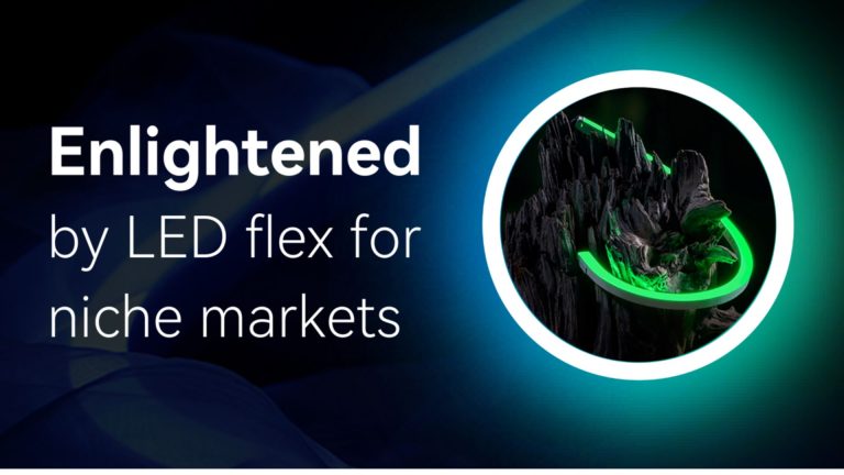 led neon flex for niche markets