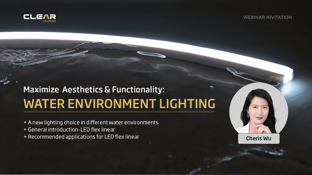 Webinar Review: World's First LED Neon Flex that Meets UL 676 - Standard for Underwater Luminaires
